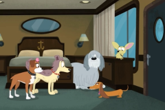 puppies012